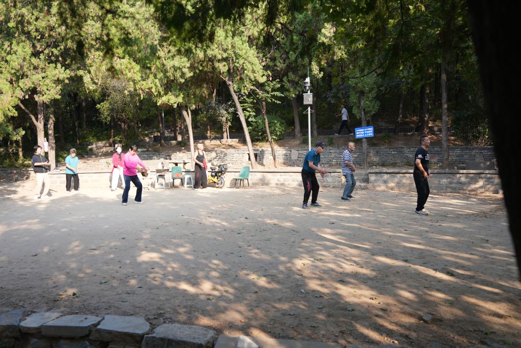 ag贵宾会介绍图片