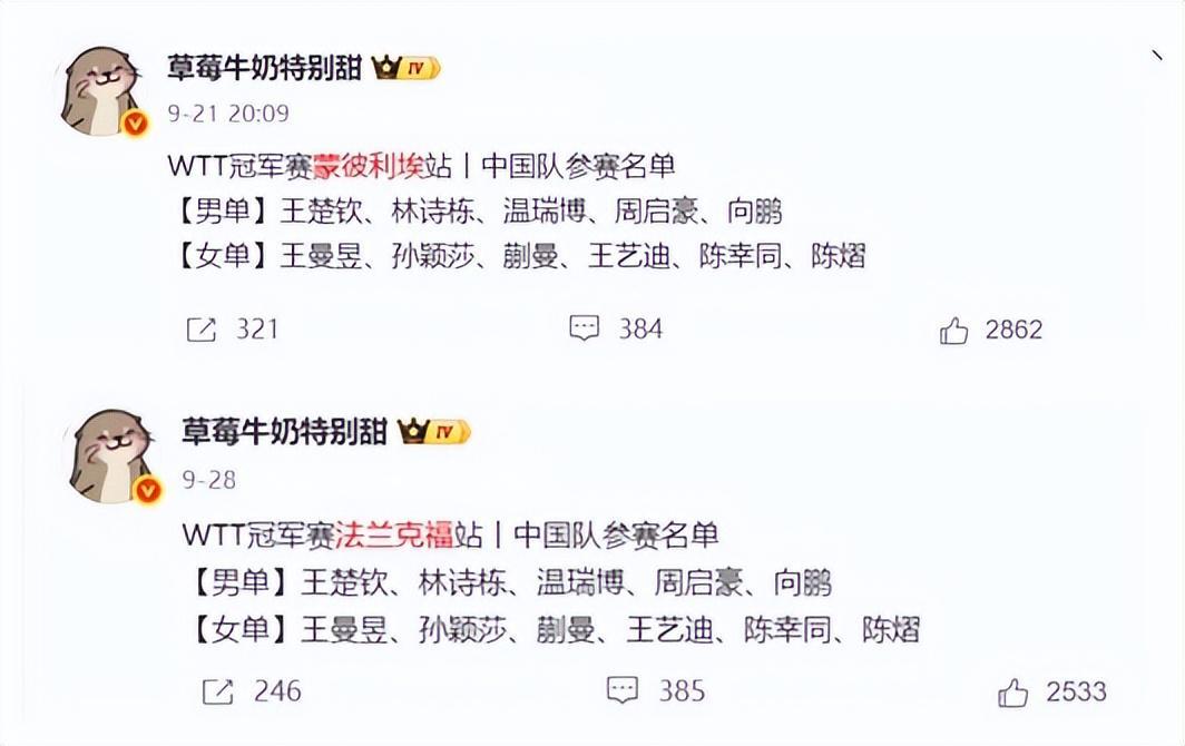 专业ag贵宾会服务